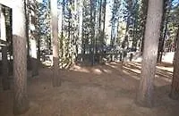 3481 Anne Street Holiday Home サウス・レイクタホ